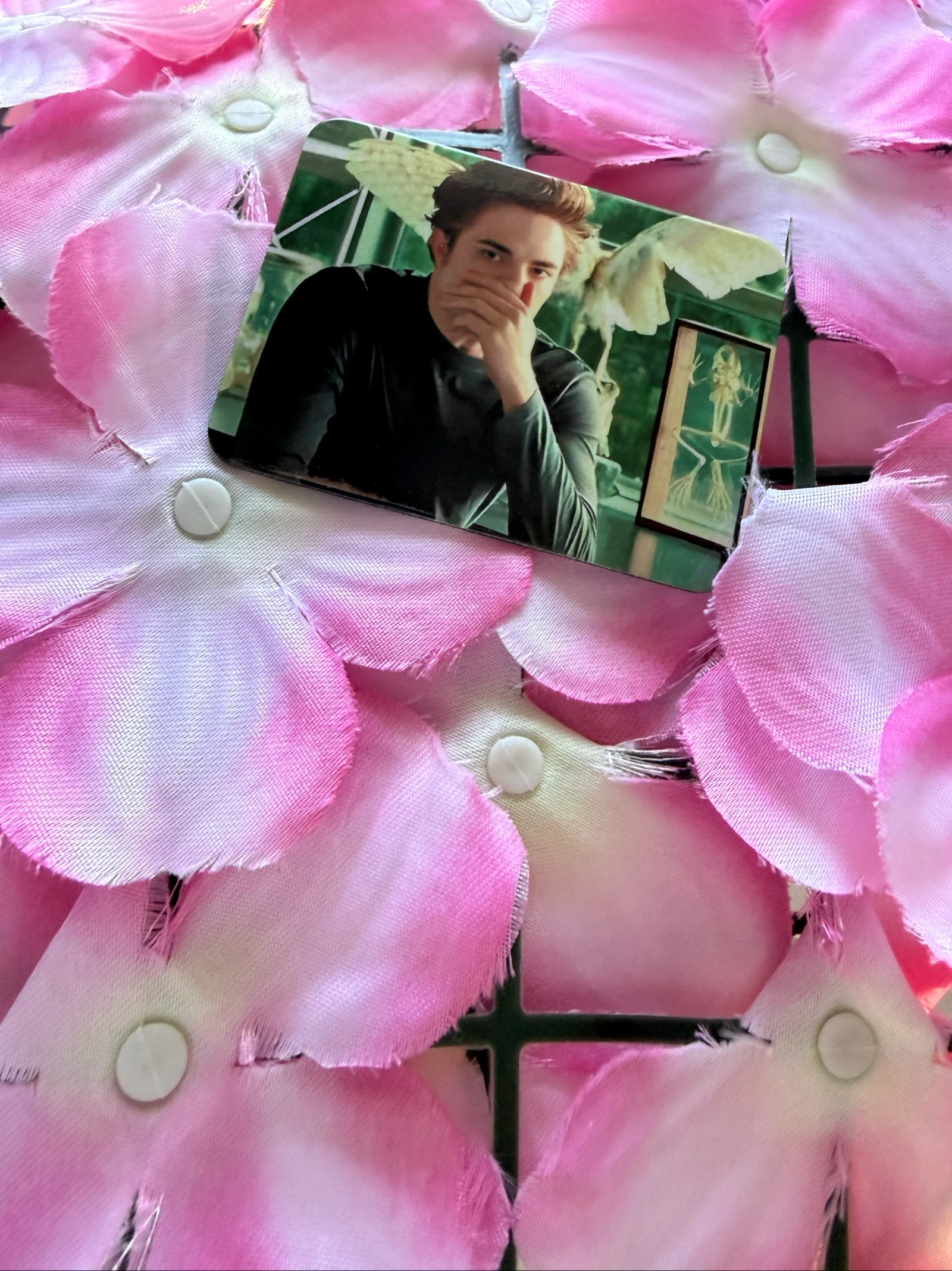 Imã Edward Cullen – photo 6
